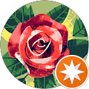 EnarGC profile picture