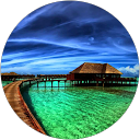 Carolina G. profile picture