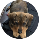 Álvaro Rodríguez profile picture